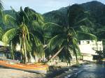 un fond d'cran avec une plage de Martinique 